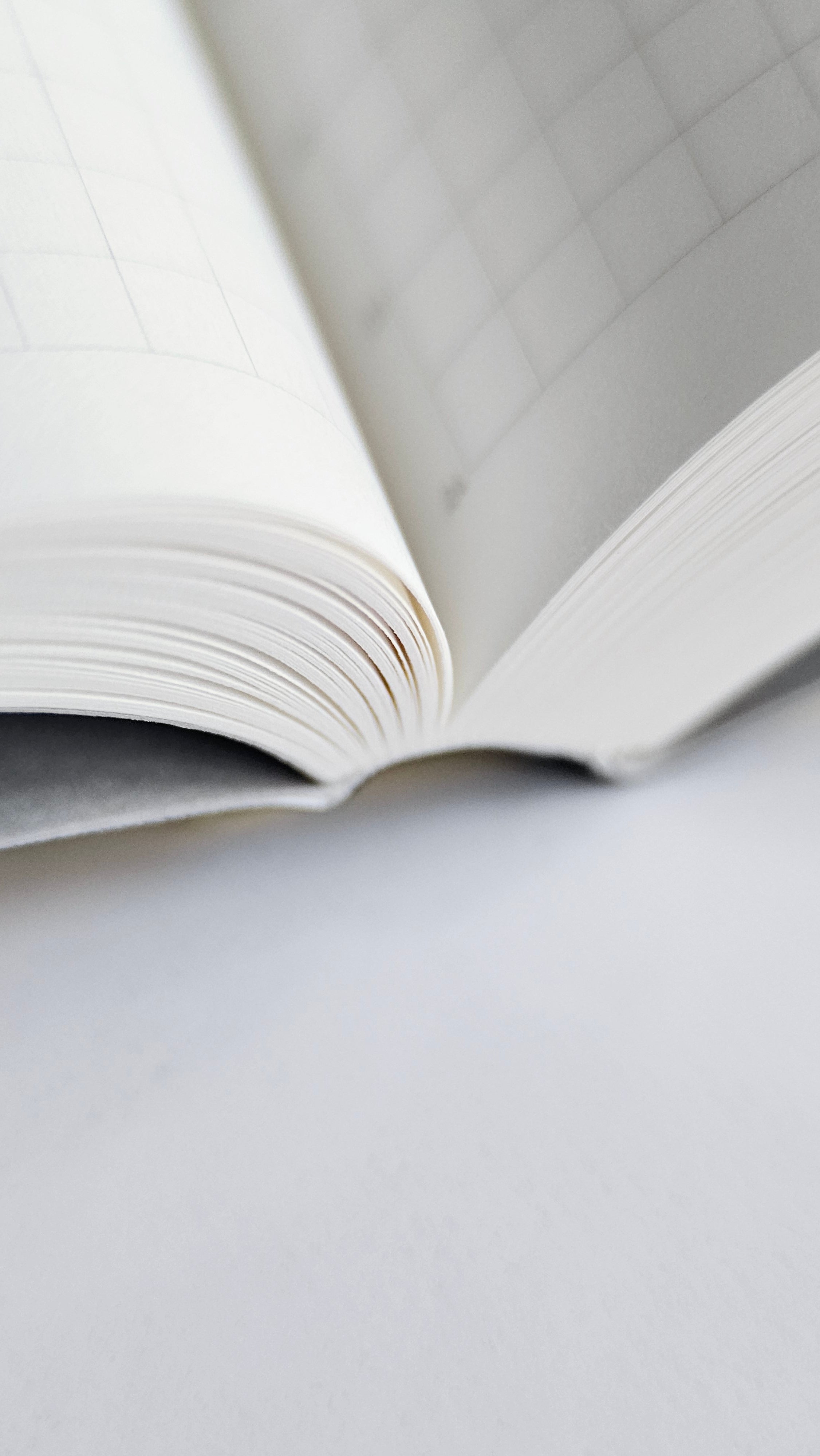 STALOGY 018 Editor’s Series A5 365 Days Notebook — Dot Grid