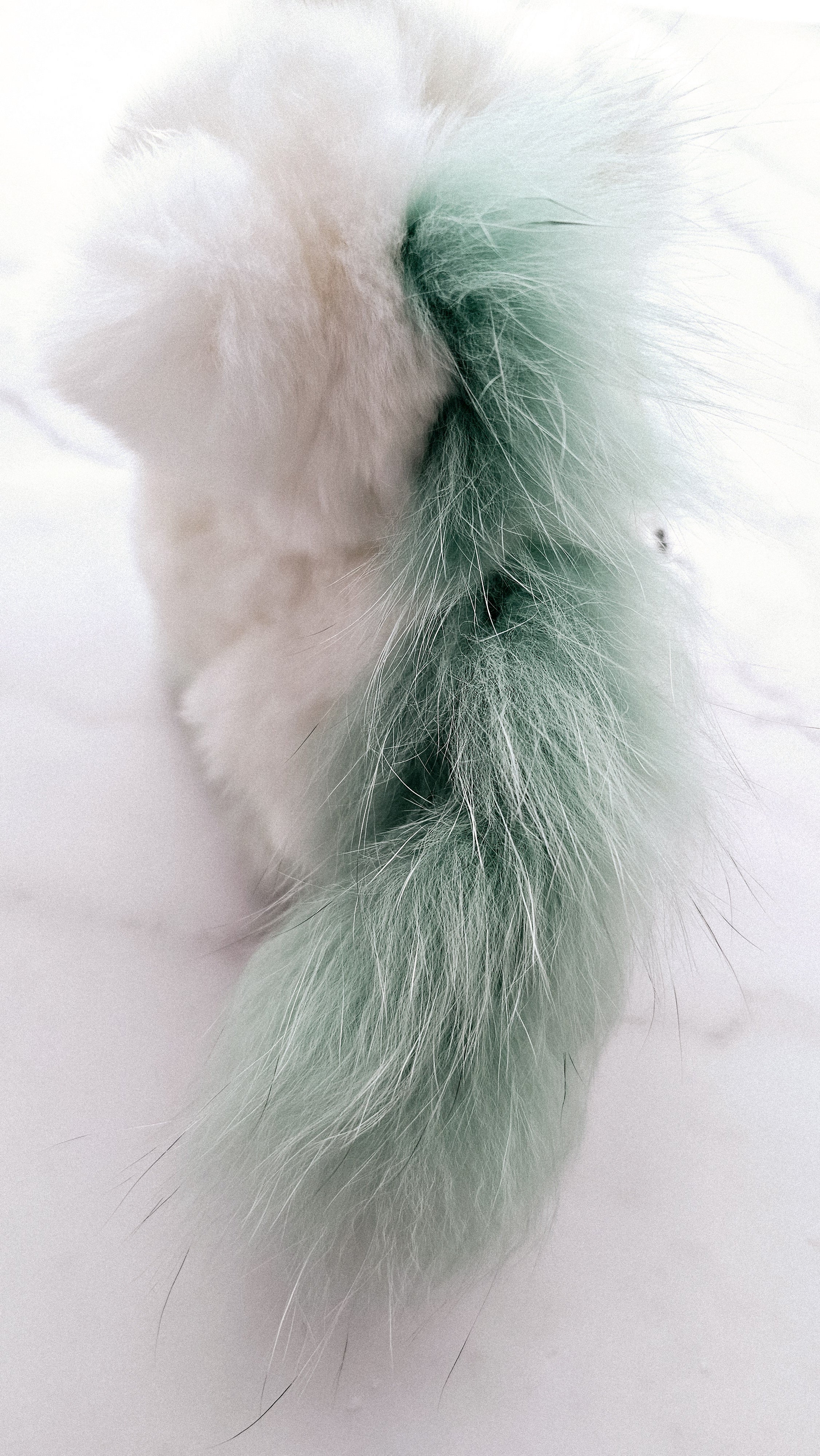 Clover The Lucky Unicorn