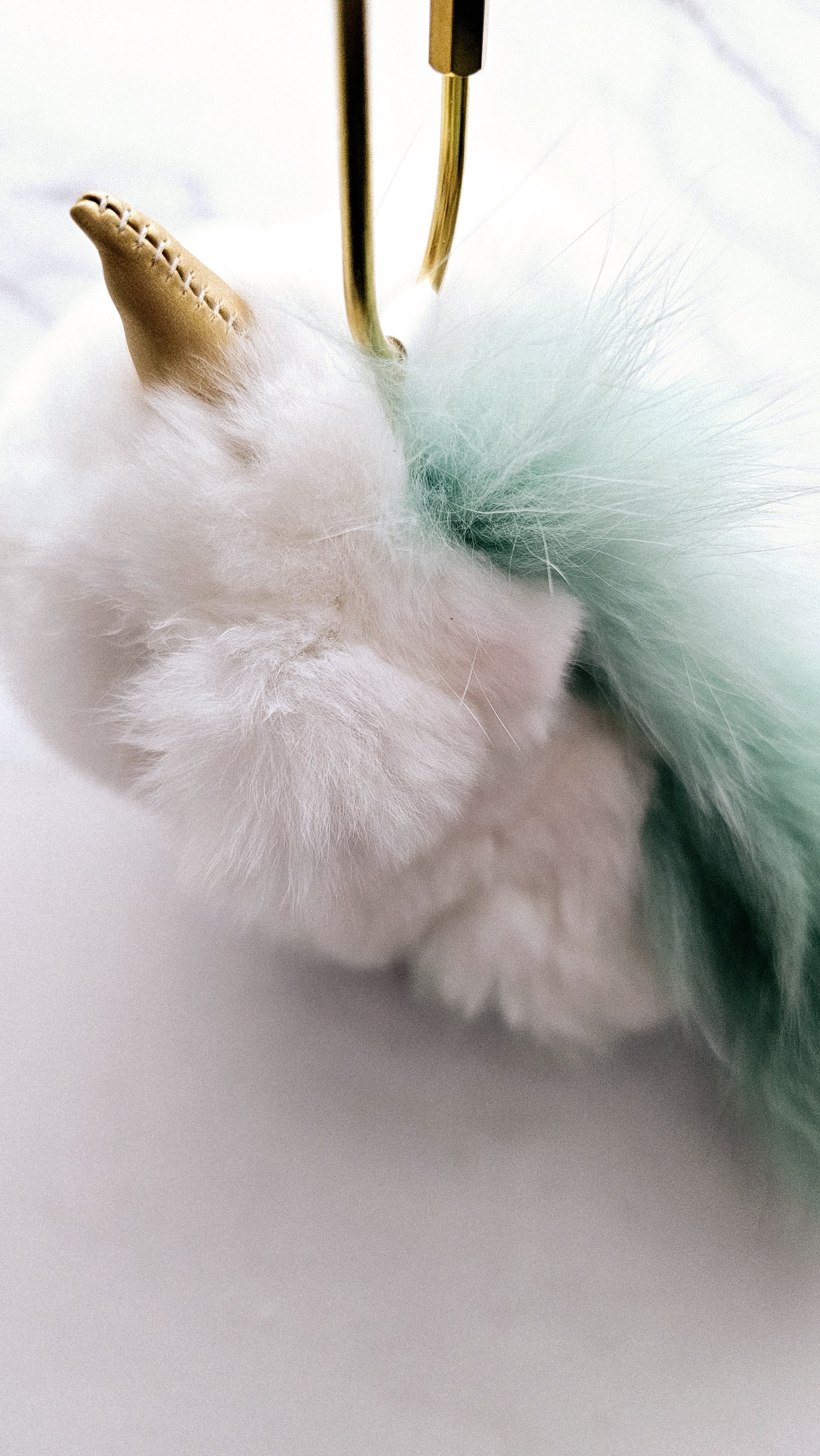 Clover The Lucky Unicorn